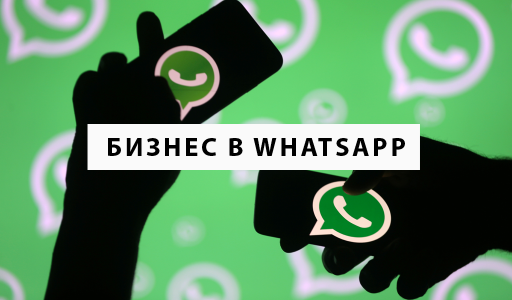 Whatsapp лого без фона